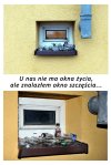 Okno szczęścia