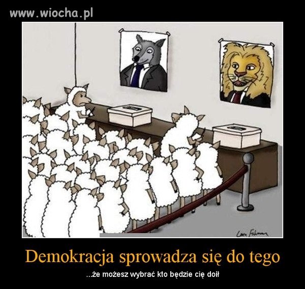 Demokracja