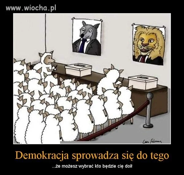 Demokracja