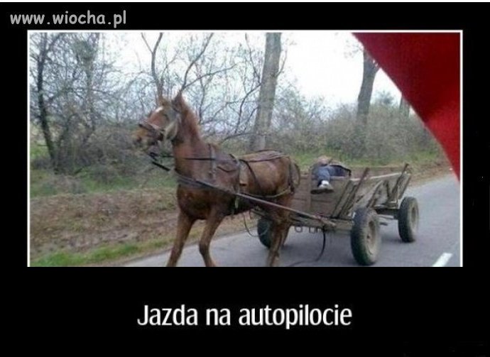 Chłop potęgą jest i basta