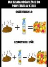 Odświeżacz