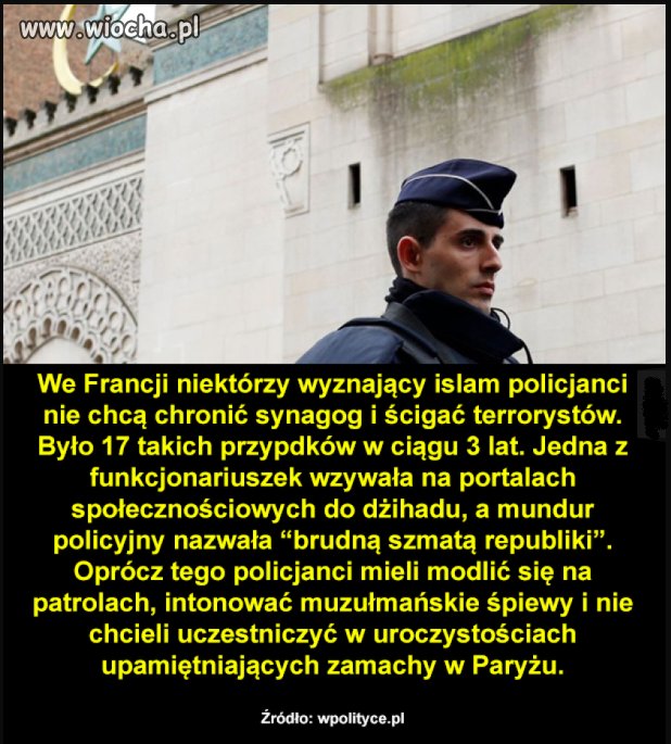Bydło zawsze pozostanie bydłem.