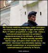 Bydło zawsze pozostanie bydłem.