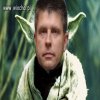 Mistrz KOD-a