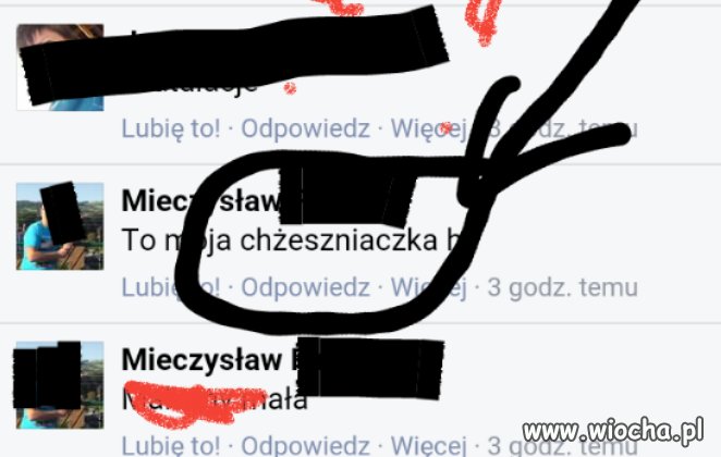 "chżeszniaczka"