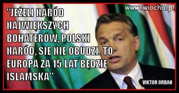 Cała nadzieja