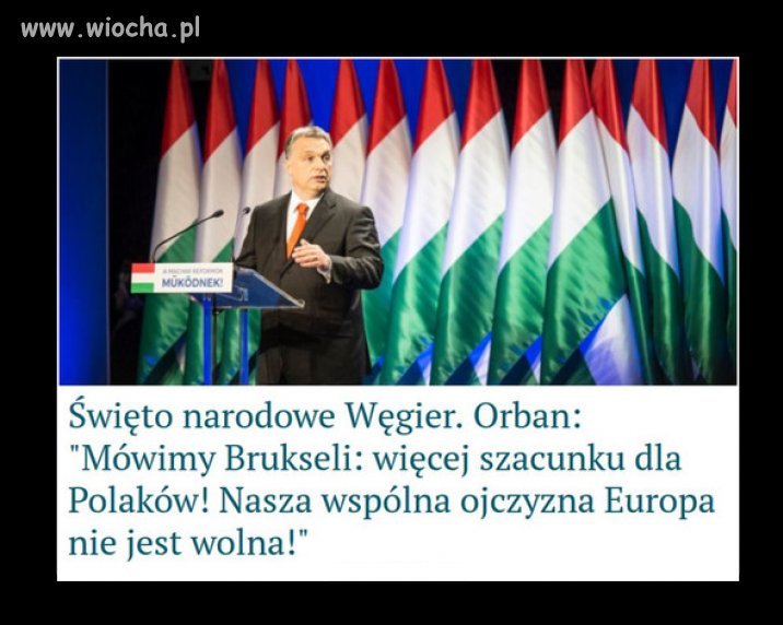 Brawo Orban
