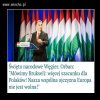 Brawo Orban