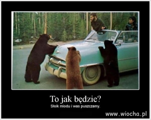 To jak będzie?