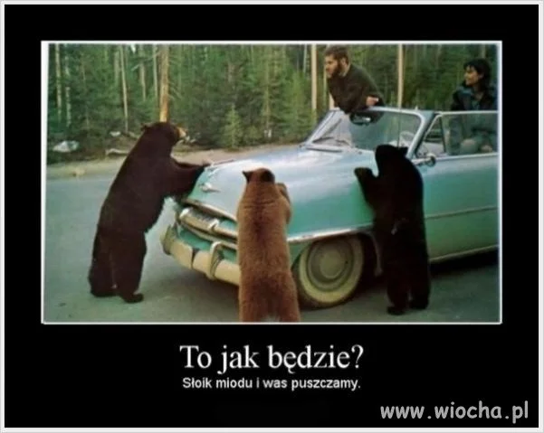 To jak będzie?