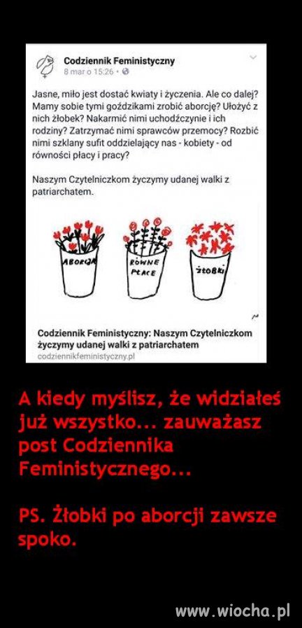 Ta logika i głupota dzisiejszych feministek ...