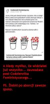 Ta logika i głupota dzisiejszych feministek ...