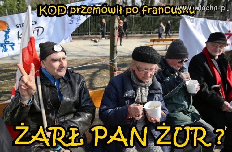 BonŻur żarł pan żur?