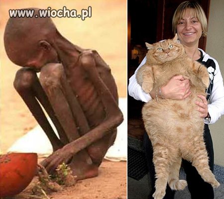 To jest prawdziwa wiocha tego świata