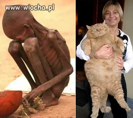 To jest prawdziwa wiocha tego świata