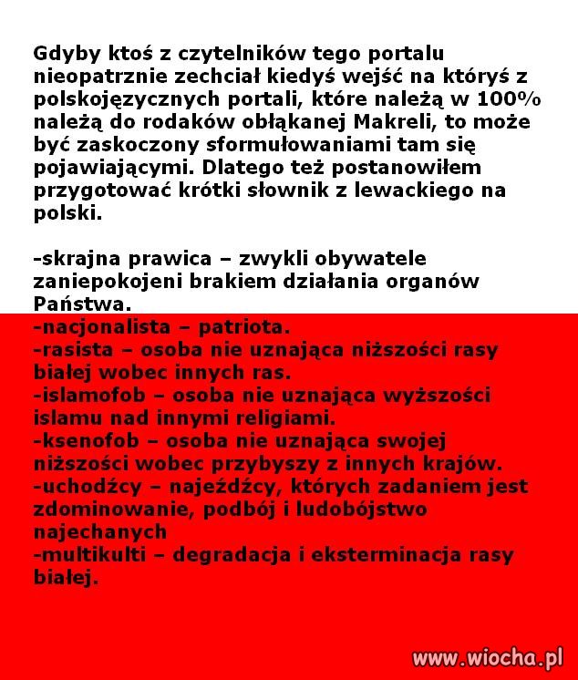 Nowoczesny słownik na polskojęzycznych 
