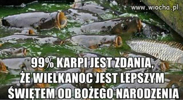 Wielkanoc lepsza 