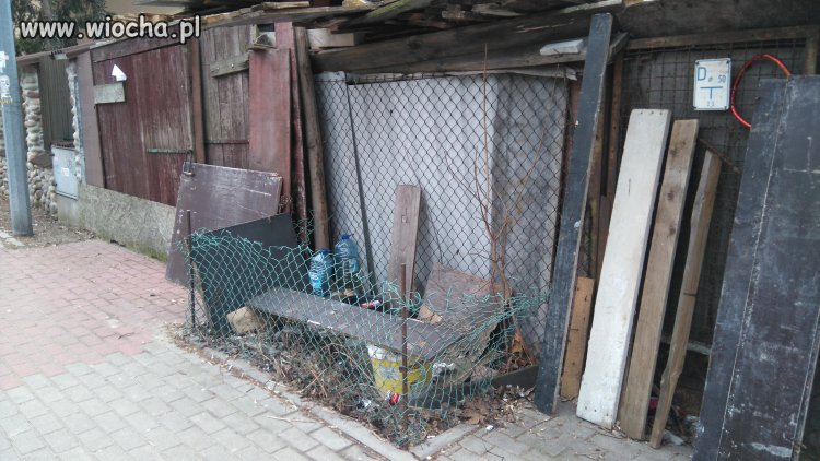 Elitarna "loża" Szyderców