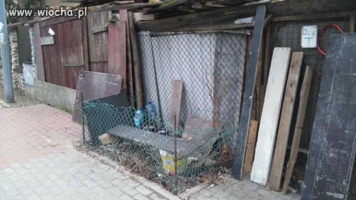 Elitarna "loża" Szyderców