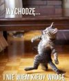 Wychodzę