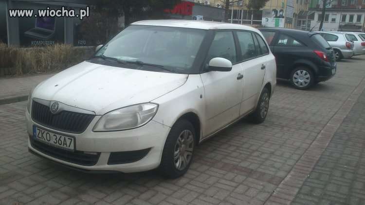 Mistrz parkowania