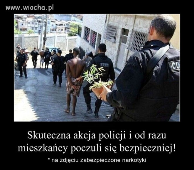 Kolejny *boss narkotykowy* w rękach policji