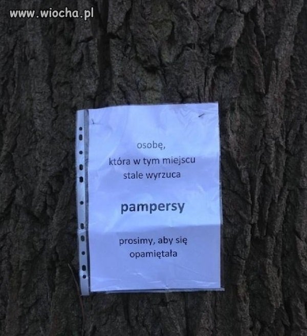 Pewnie idealna mamusia Brajanka lub Angeliki