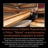 Gwarancja dużego zapotrzebowania na tego typu