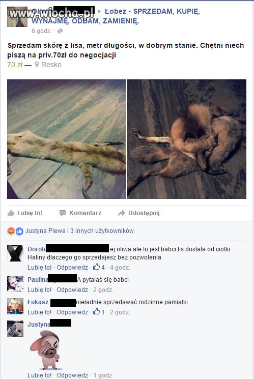 Pamiątki Babci