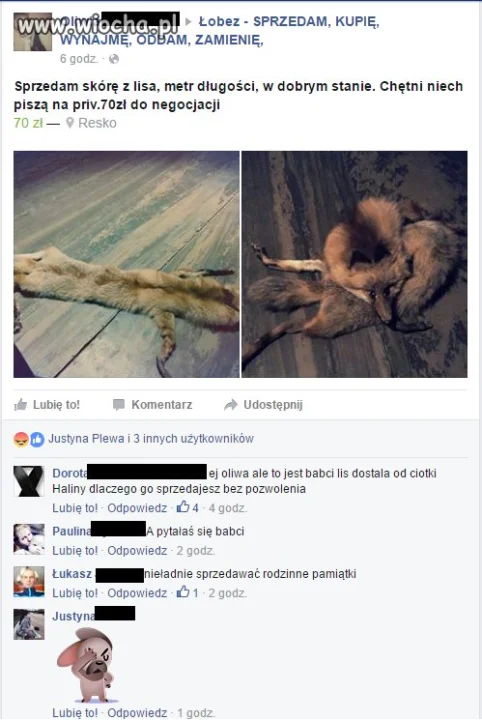 Pamiątki Babci