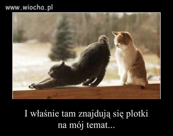 Dokładnie...