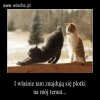 Dokładnie...