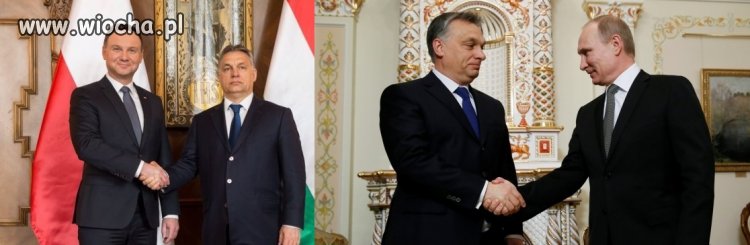 Twoi przyjaciele