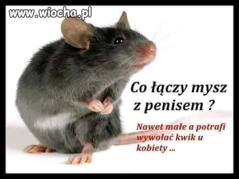 Taki mały a wariat