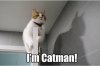 CATMAN
