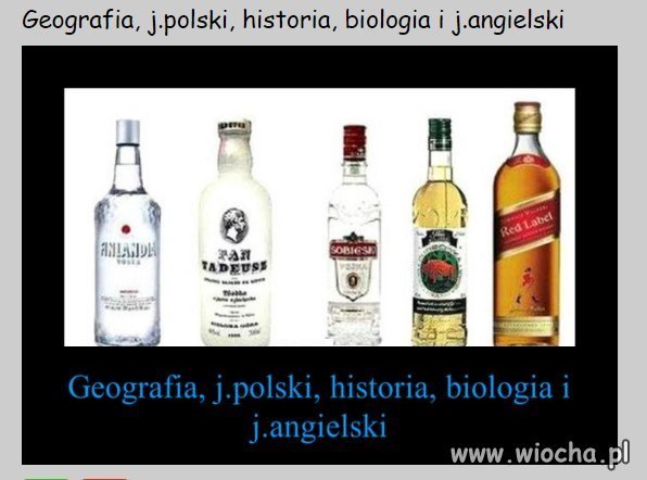 Którą lekcje lubiłeś 