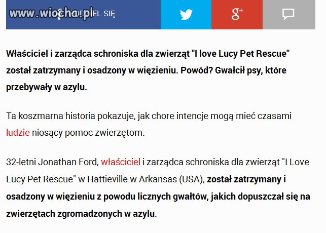 Miłośnik zwierząt