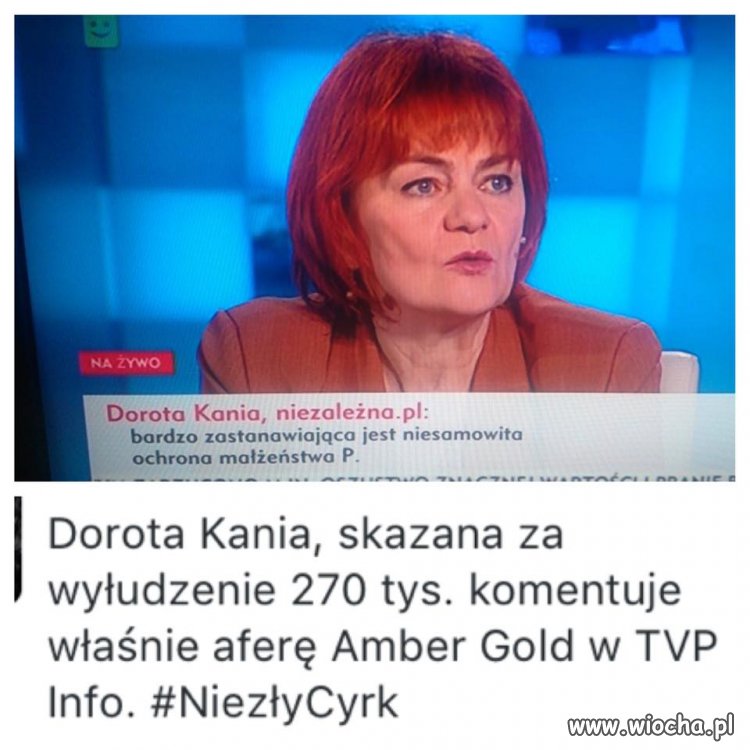 Zapomniał wół jak cielęciem był 