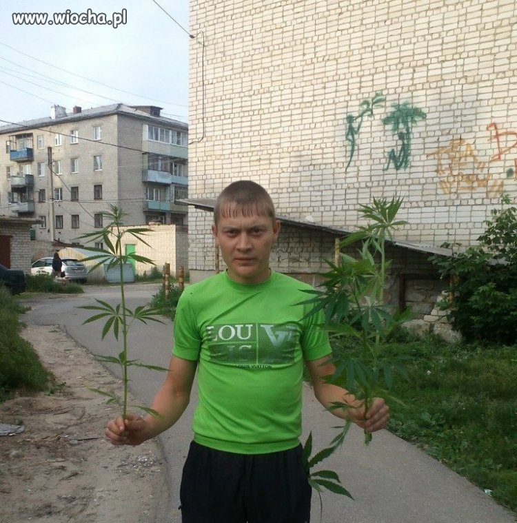 Wszystkim paniom na dzień kobiet