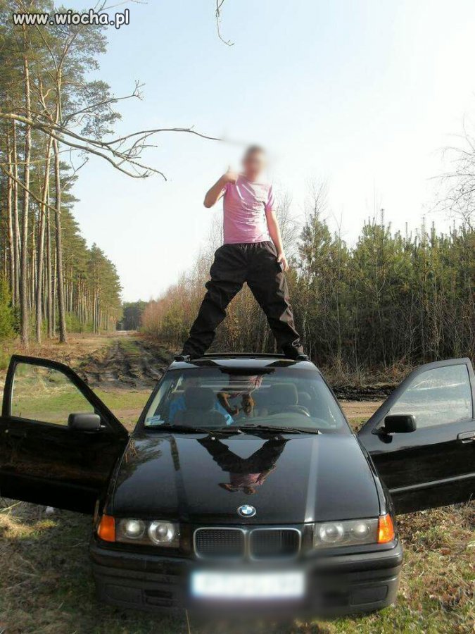 Leśny dzik tata w domu 