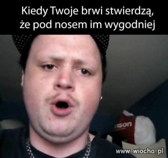 Brwi 