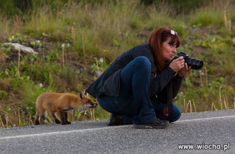 Coś wyczuł?