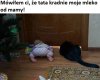 Kto kogo 