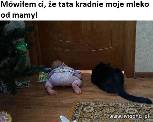 Kto kogo 