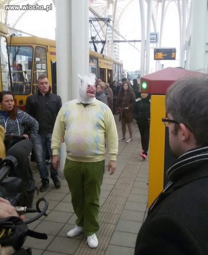 Tymczasem w łódzkiej stajni jednorożców