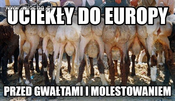 Imigrantki, 
