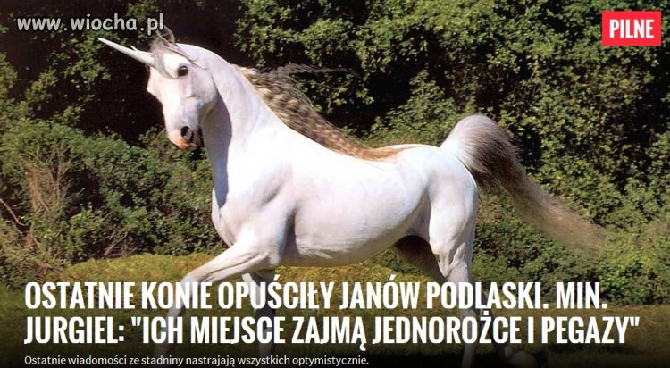 Plotki głoszą, że