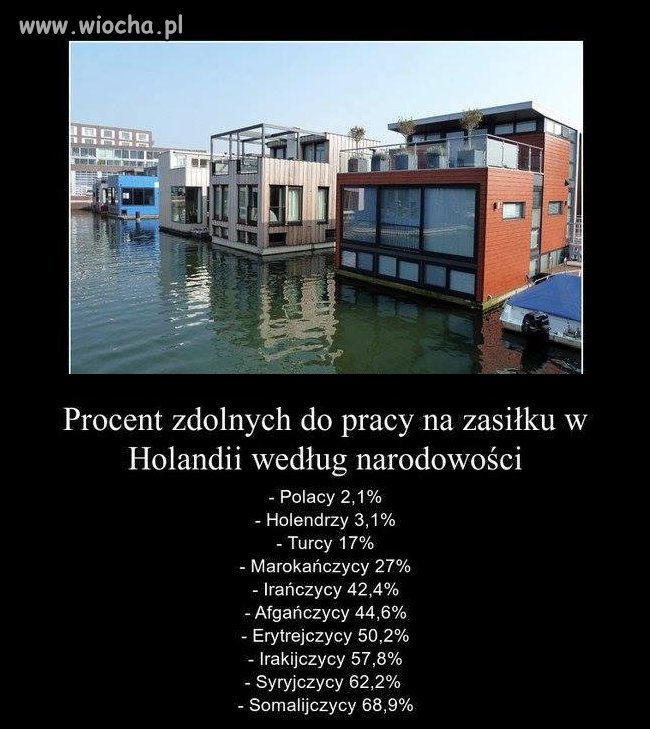 Kto najlepiej udaje