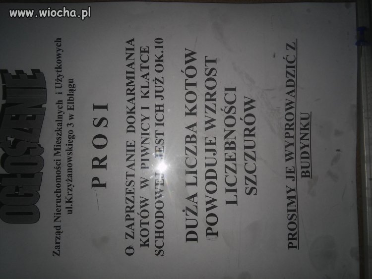 Czy tylko ja widzę tu coś dziwnego??