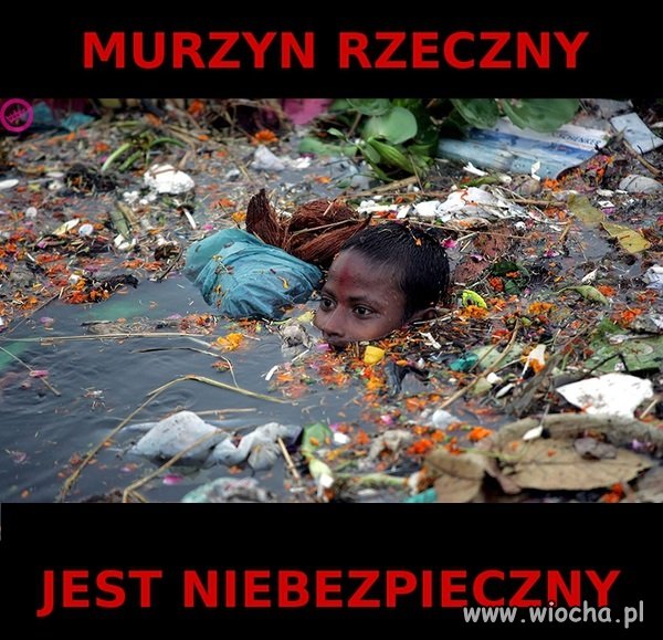 Murzyn rzeczny
